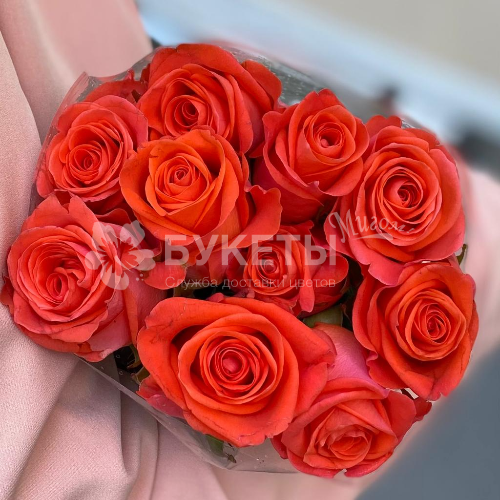 Оранжевые розы "Вау" 40 см (10 шт)