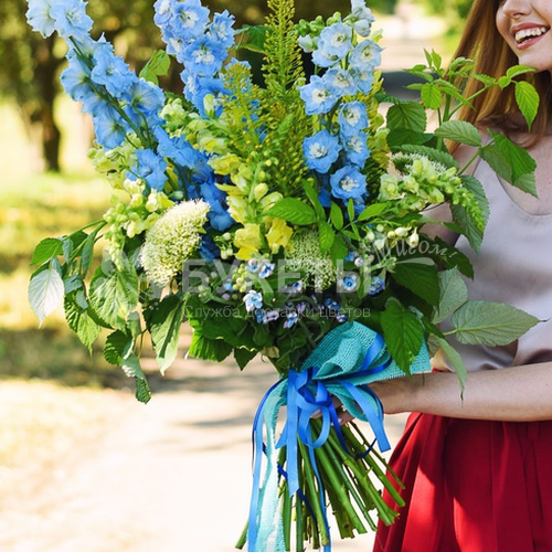 Дельфиниум голубой