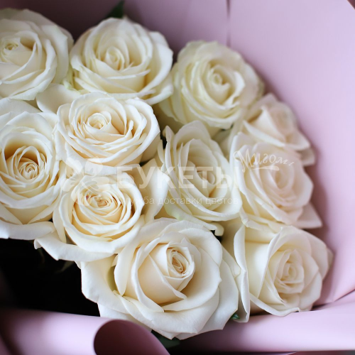 Букет из 11 белых эквадорских роз Premium