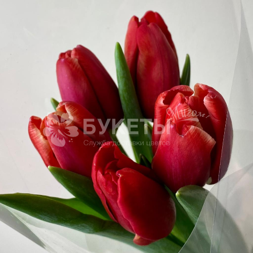 Букет из 5 красных тюльпанов