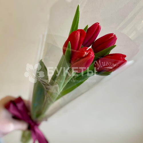 Букет из 5 красных тюльпанов