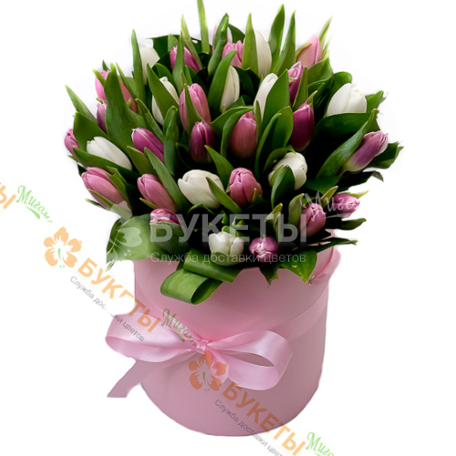 31 бело-розовый тюльпан в розовой шляпной коробке