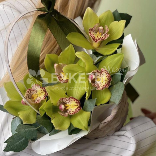Зеленые орхидеи в корзине