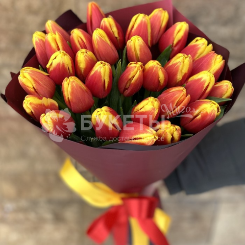 Букет из 35 красно-желтых тюльпанов