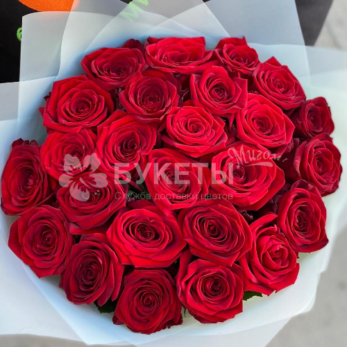 Букет из 25 красных роз "Ред Наоми" 40 см