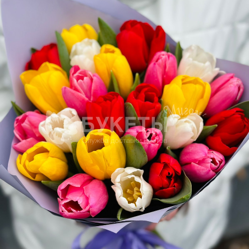 Букет из 25 ярких тюльпанов