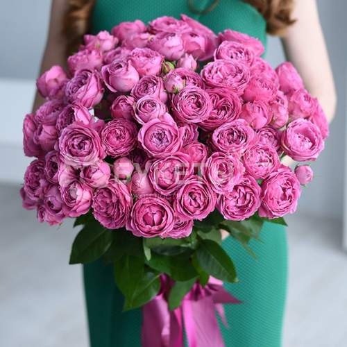 Букет из розовых пионовидных роз "Мисти Баблс"