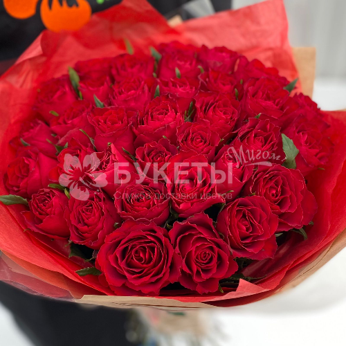 Букет из 35 красных роз "Кения" 50 см