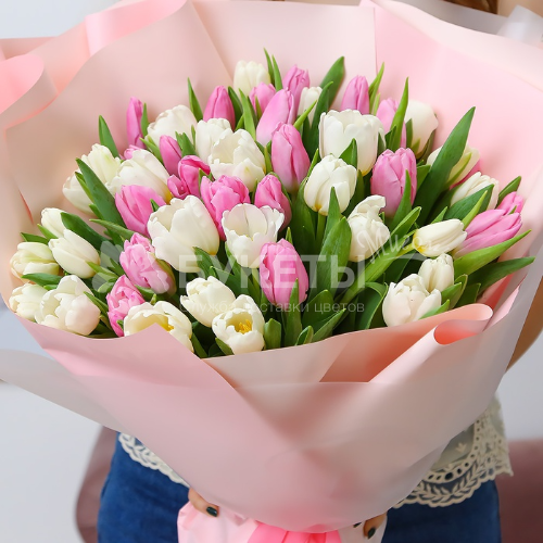 Букет из 51 розового и белого тюльпана