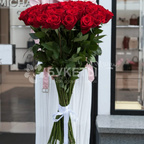 Роза красная Эксплорер (Эквадор) 80 см.