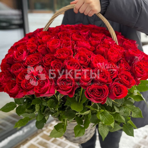 Корзина из 101 красной розы "Мадам Ред"