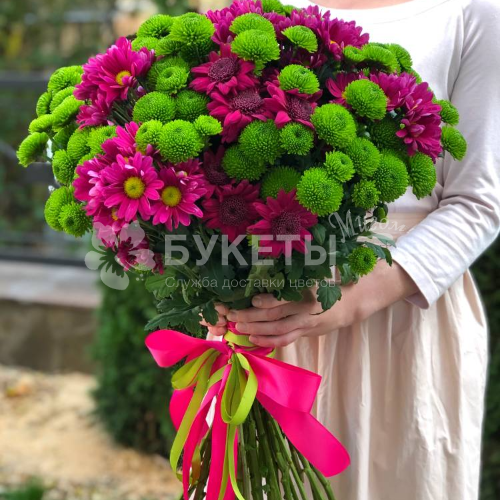 Букет из 17 розовых и зеленых хризантем