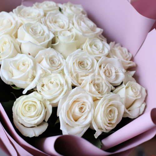 Букет из 21 белой эквадорской розы Premium