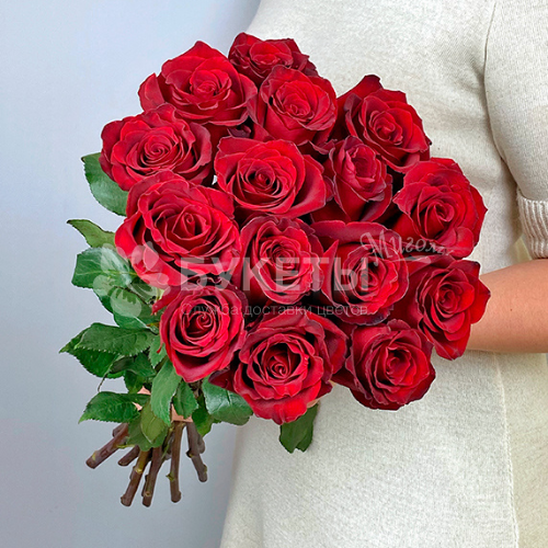 Букет 15 красных роз Premium Freedom