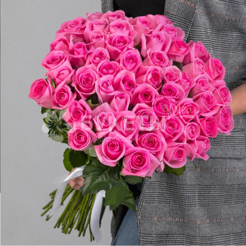 Букет из 51 розовой розы (Эквадор) 50 см