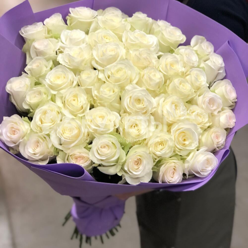 Букет из 51 белой розы (Эквадор)