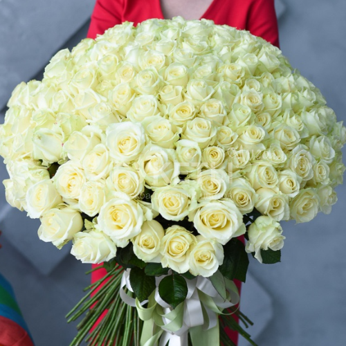 Букет из 201 белой розы 60 см "Аваланш"