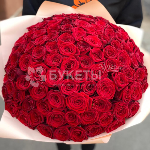 Букет из 101 красной розы "Ред Наоми" 40 см