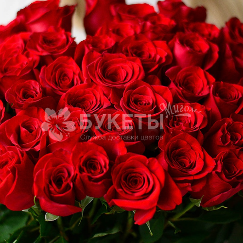 Букет из 35 высоких красных роз (Эквадор) 70 см