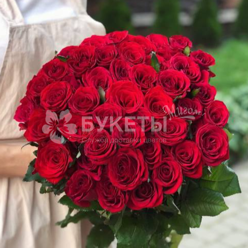 Букет из 51 красной высокой розы VIP (70 см)