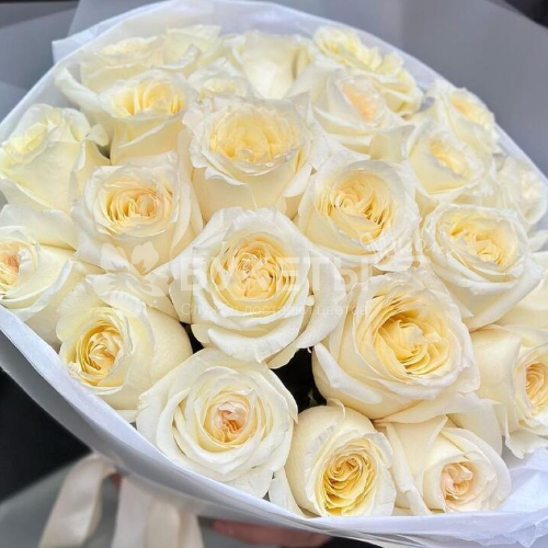 Букет из белых пионовидных роз "Кэнделлайт"