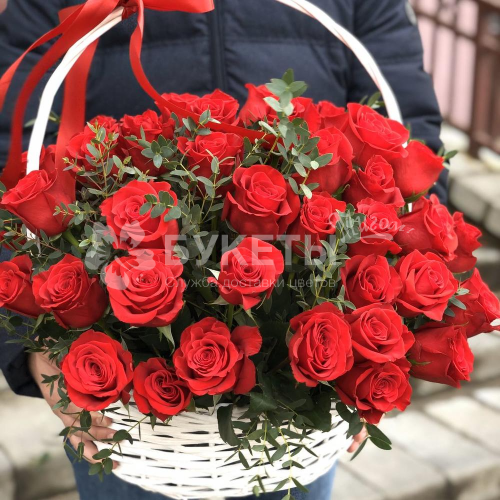 Корзина из 49 красных эквадорских роз "Фридом"