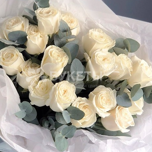 Букет из 15 белых эквадорских роз и эвкалипта