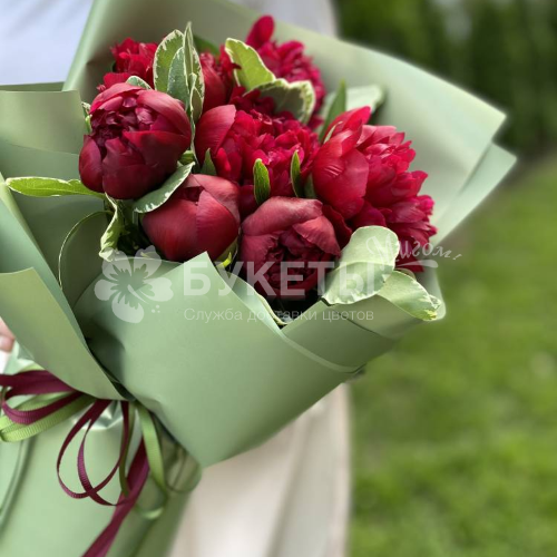 Букет из 7 красных пионов с зеленью