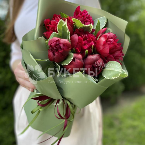 Букет из 7 красных пионов с зеленью