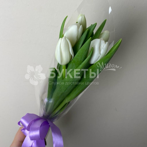Букет из 5 белых тюльпанов
