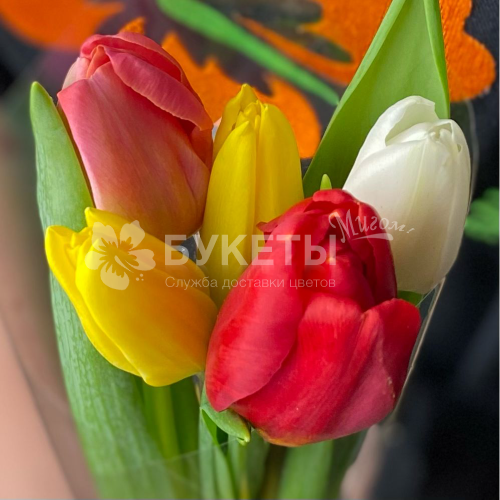 Букет из 5 тюльпанов микс