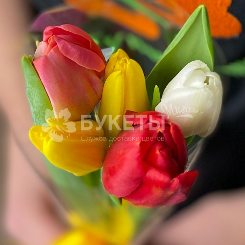 Букет из 5 тюльпанов микс