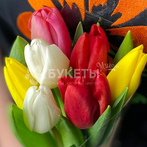 Букет из 7 тюльпанов микс