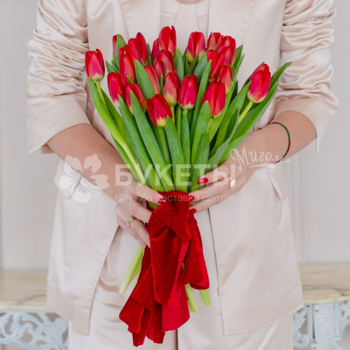 Букет из 25 красных тюльпанов