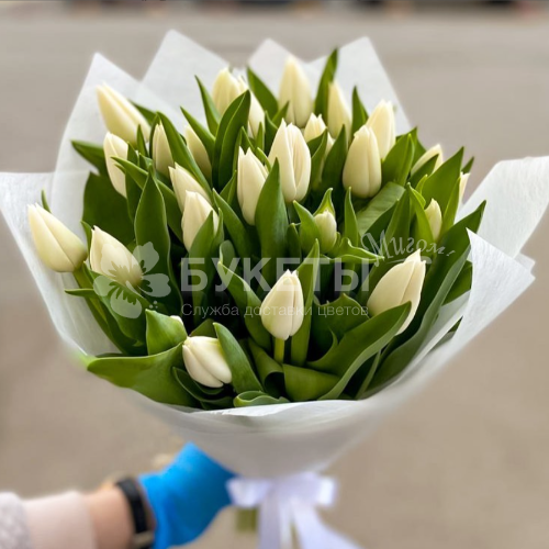Букет из 25 белых тюльпанов