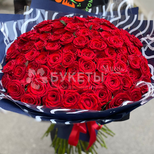 Букет из 101 красной розы "Ред Шарм"