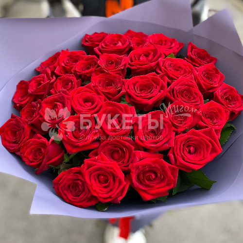 Букет из 35 красных роз "Ред Шарм"