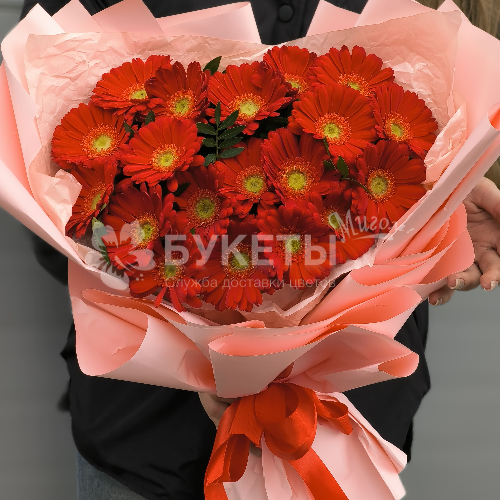 Букет из 19 красных гербер "Пламенное сердце"