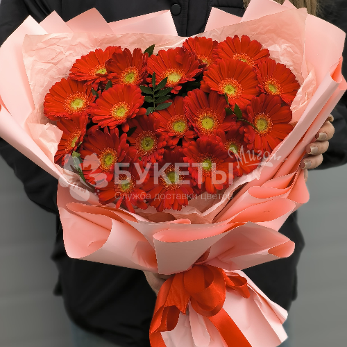 Букет из 19 красных гербер "Пламенное сердце"
