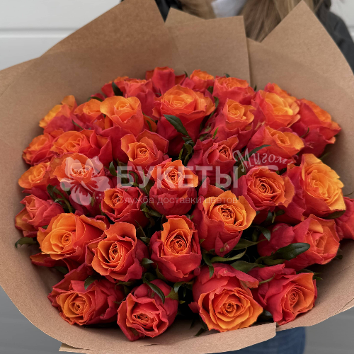 Букет из 35 огненных роз "Феникс"