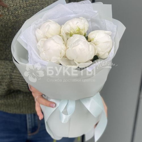 Букет из 5 белых пионов