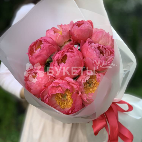 Букет из 9 коралловых пионов