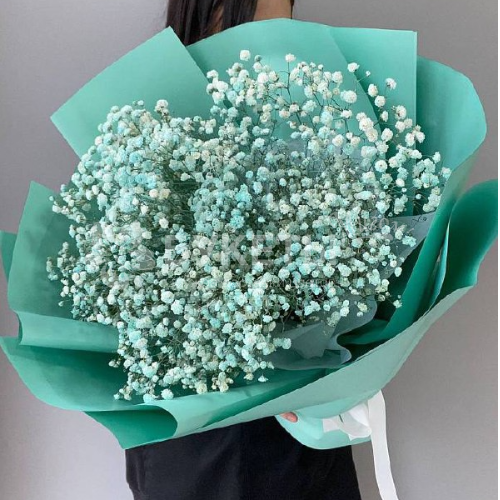 Букет крашеных гипсофил "Тифани"