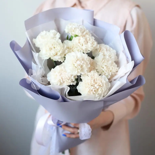 Букет из 11 белых гвоздик