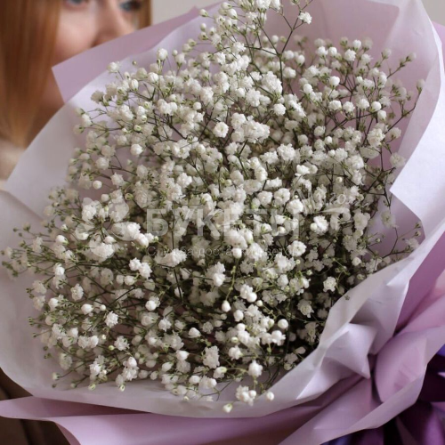 Букет из 5 белых гипсофил