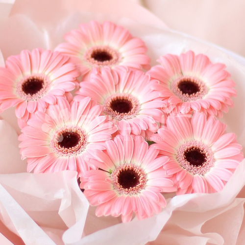 Букет "Свежий ветер"