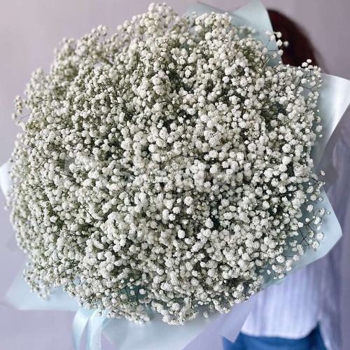 Букет из 19 белых гипсофил