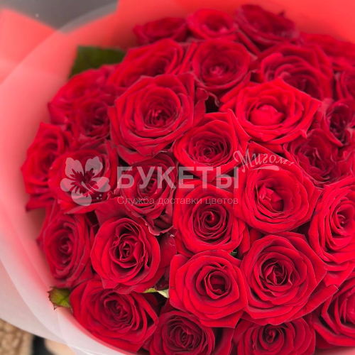 Букет из 35 ароматных красных роз "Ред"