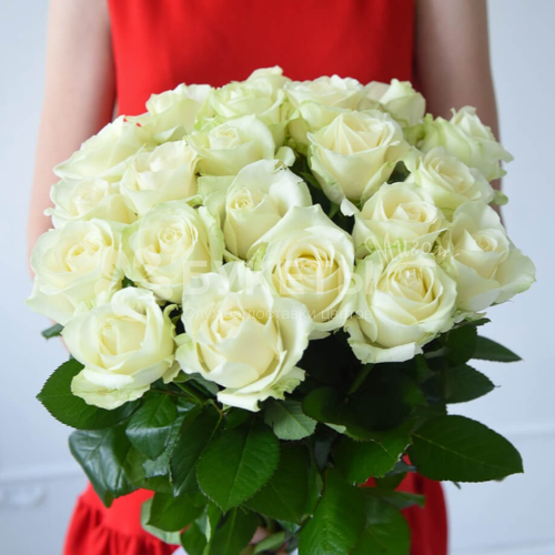 Букет из 19 белых роз