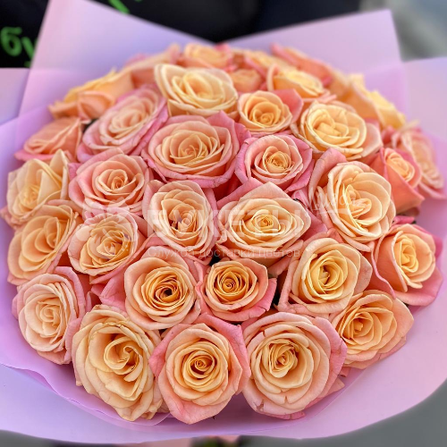 Букет из коралловых роз "Мисс Пигги"